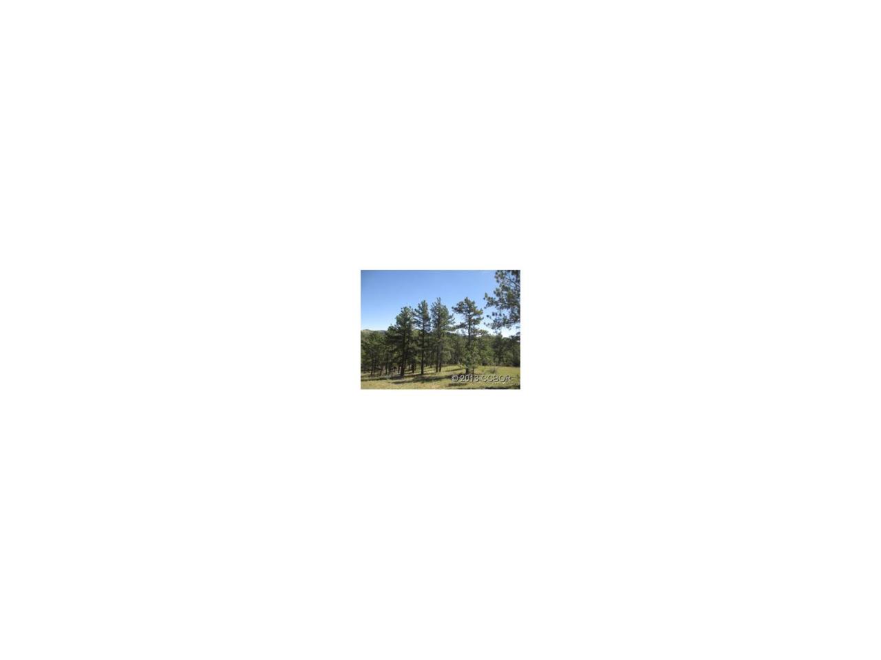 1993 Keepsake Loop - Photo 1