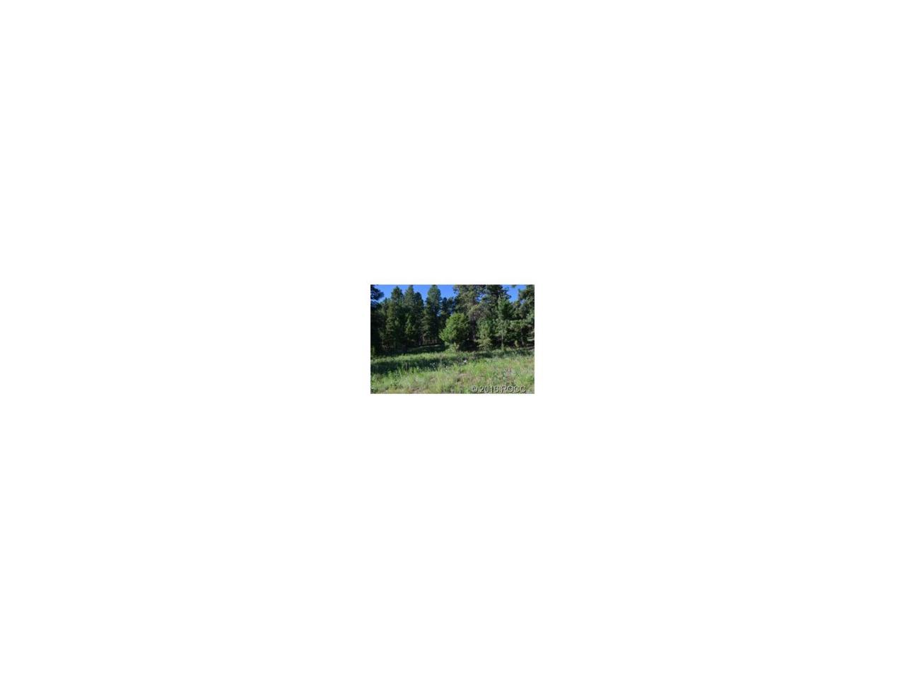 3826 Campfire Road - Photo 1