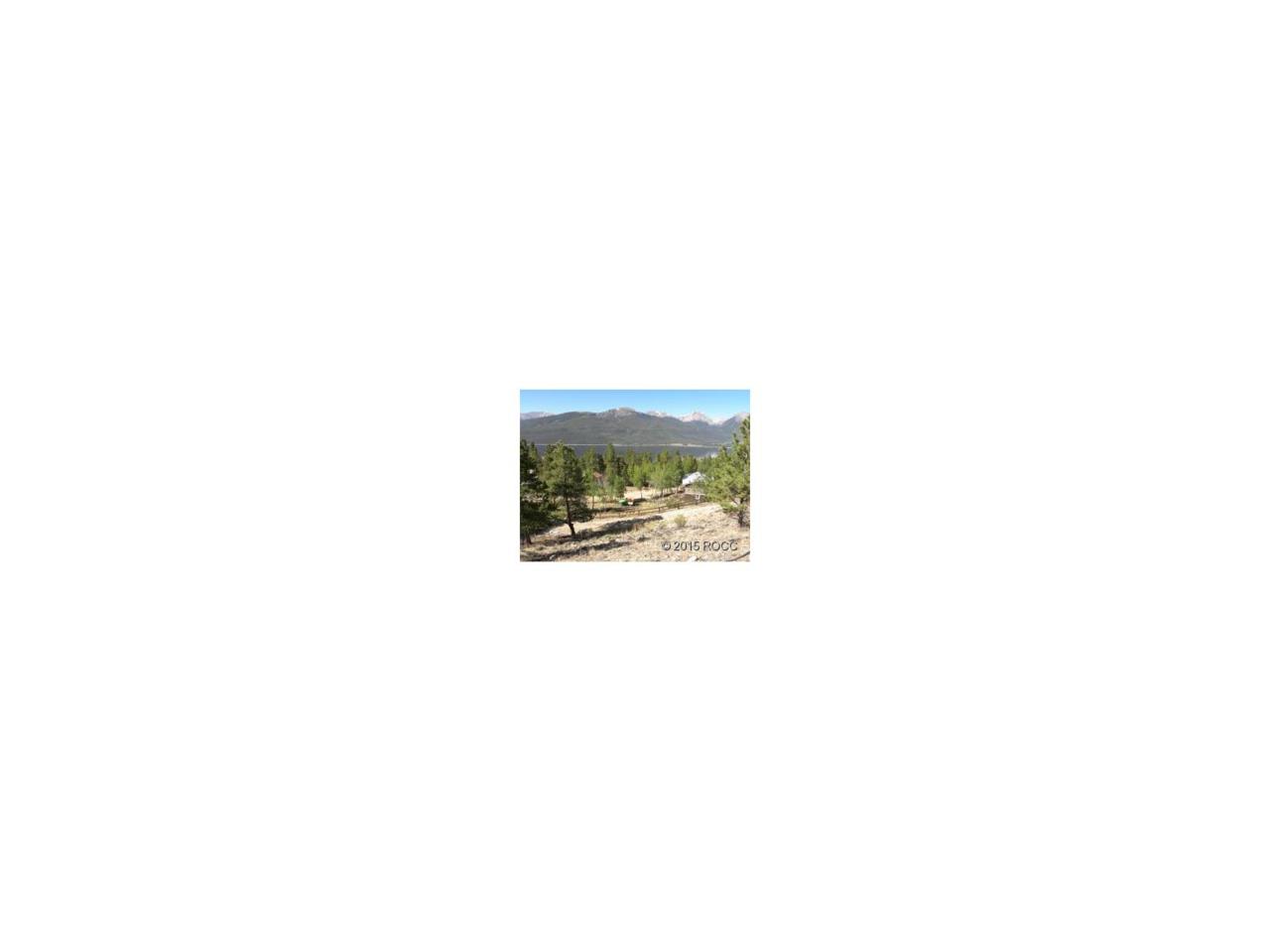 217 La Plata Peak Drive - Photo 1
