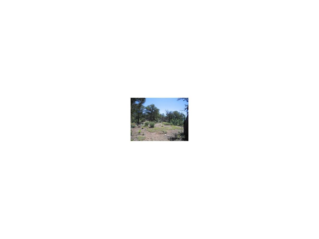 Lower Camp Road - Photo 1