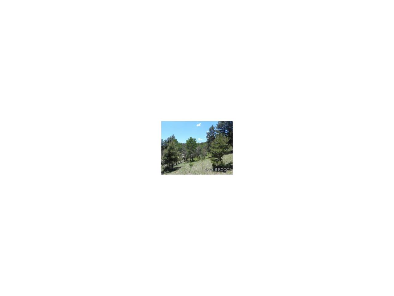 30269 Eagles Ridge - Photo 1