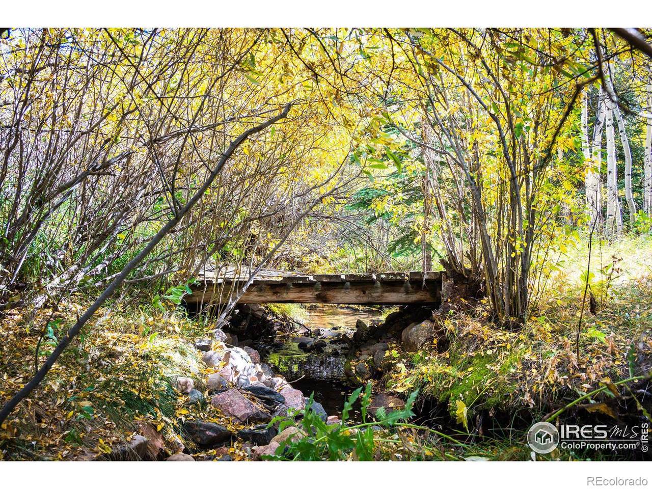 531 Caribou Road - Photo 1