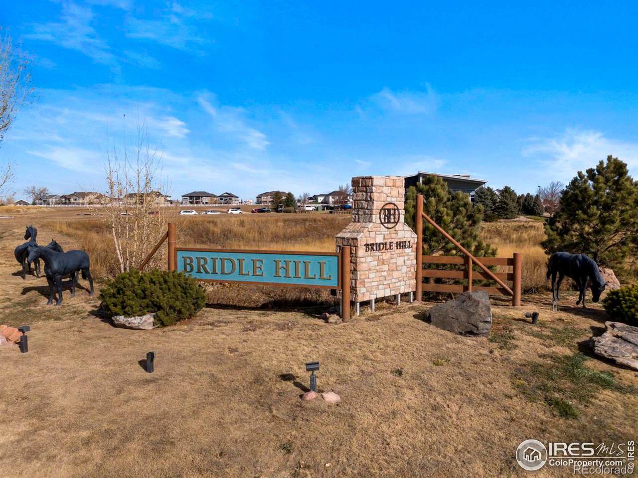 2551 Branding Iron Drive - Photo 1