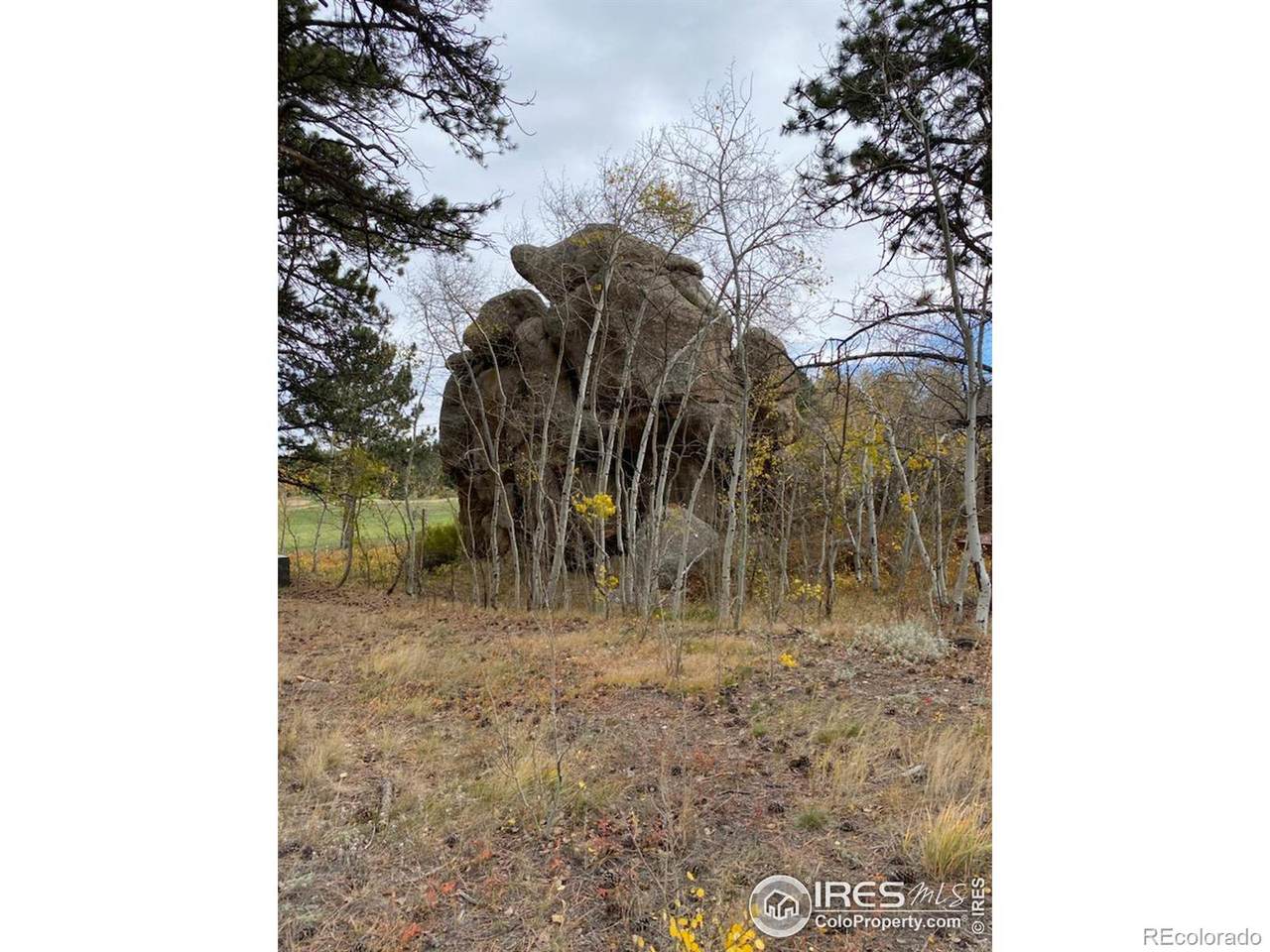 https://bt-photos.global.ssl.fastly.net/metrolist/1280_boomver_1_IR1010383-1.jpg