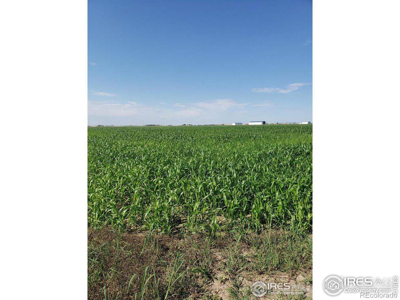 0 County Road 6 - Photo 1