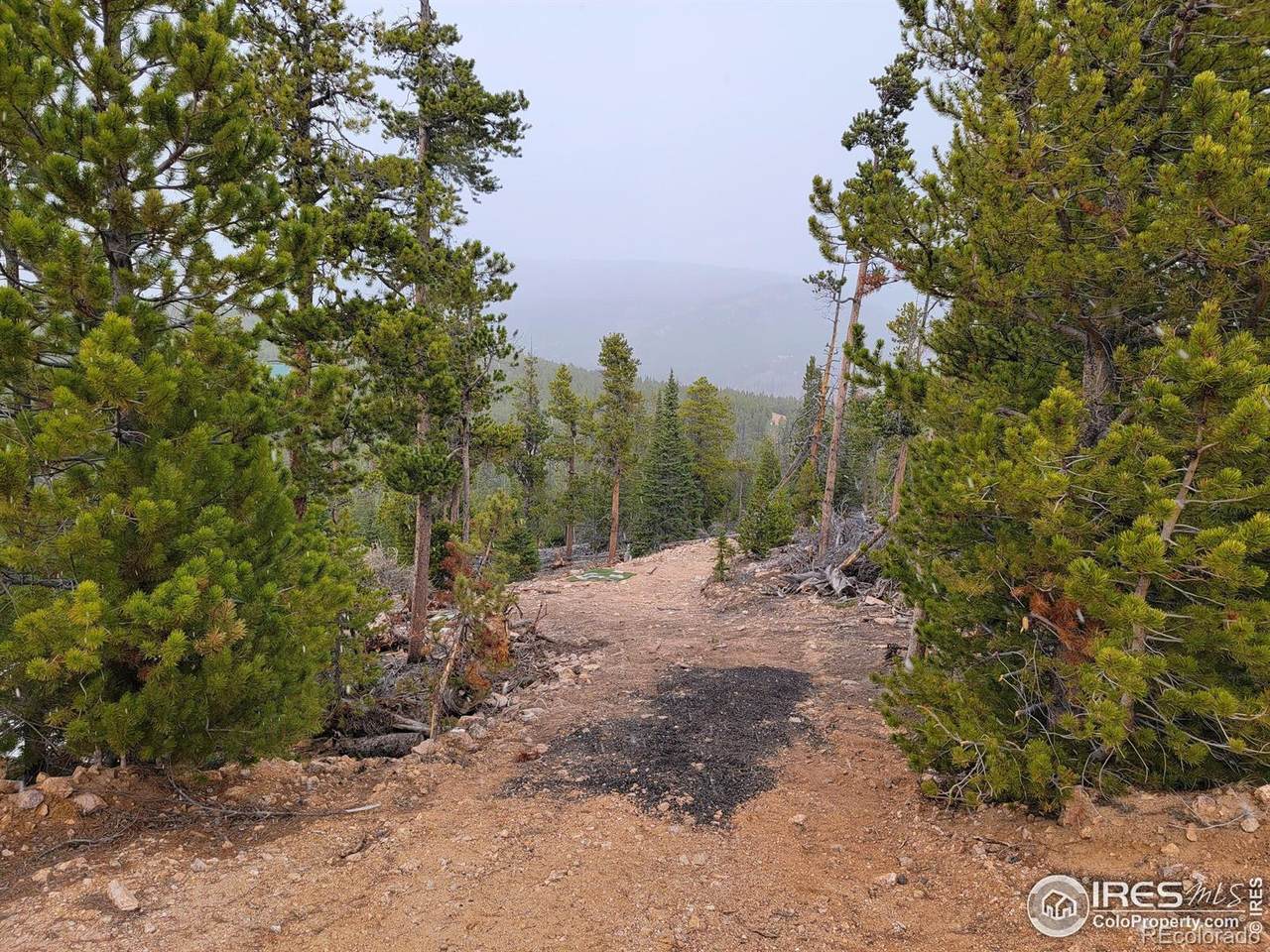 50 Carrier Way - Photo 1