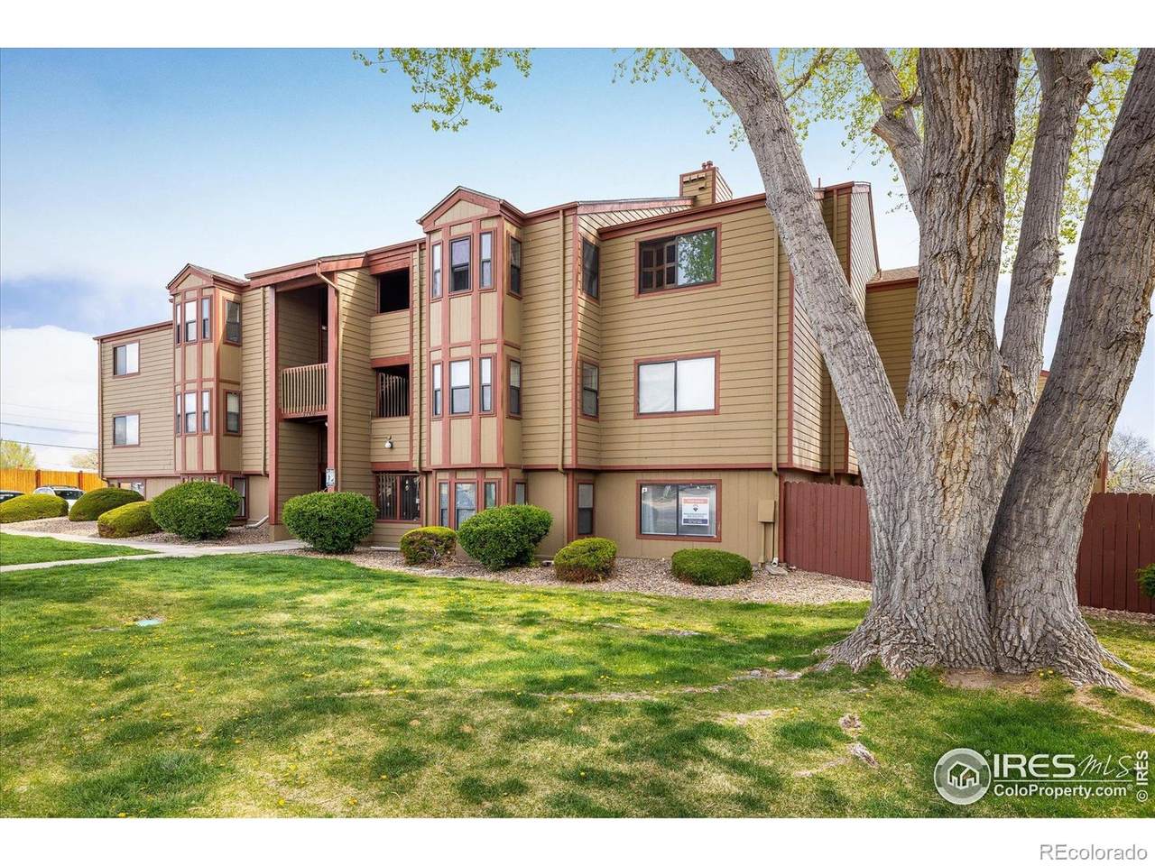 8770 Corona Street - Photo 1