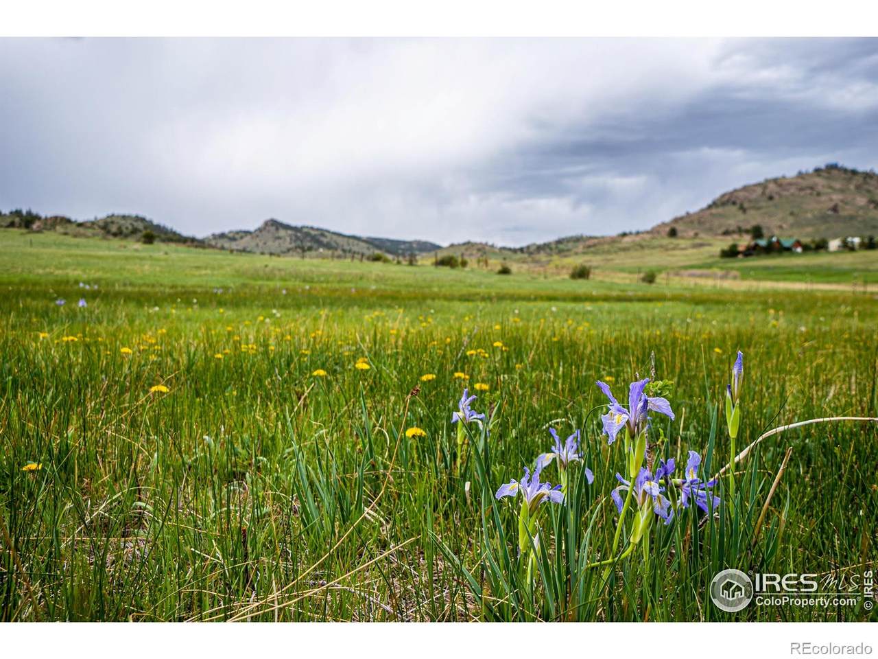 816 Meadow Way - Photo 1