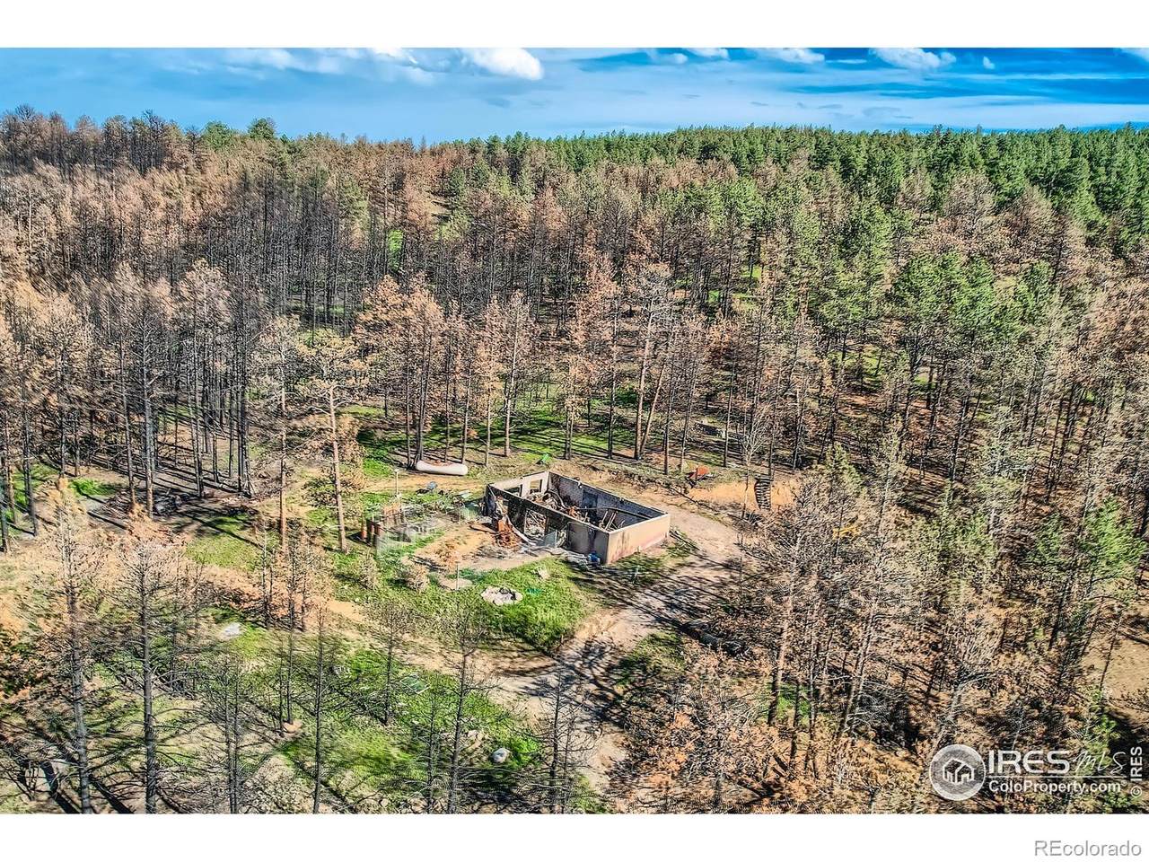 1448 Spruce Mountain Drive - Photo 1