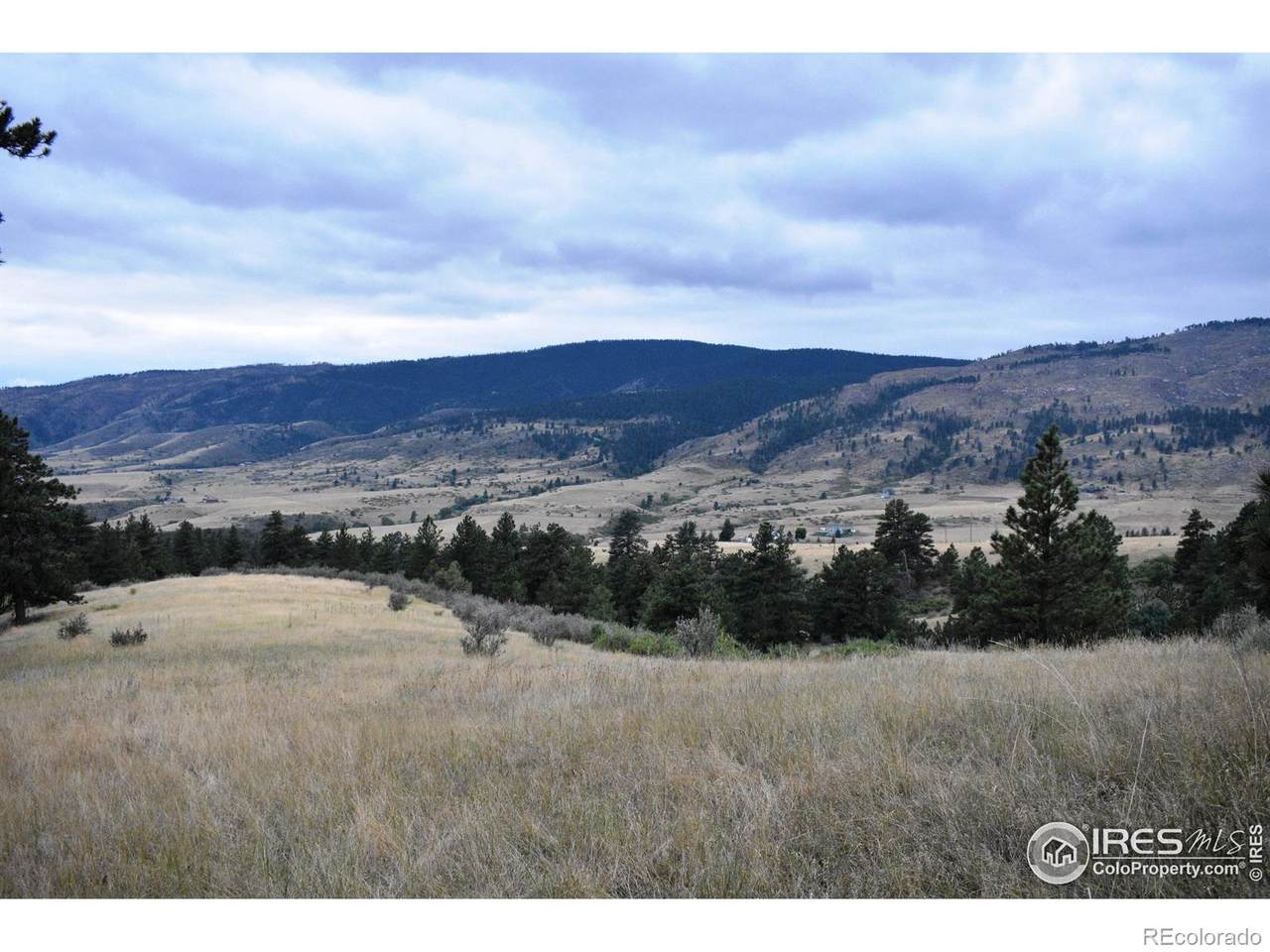 17556 Red Canyon Ranch Road - Photo 1