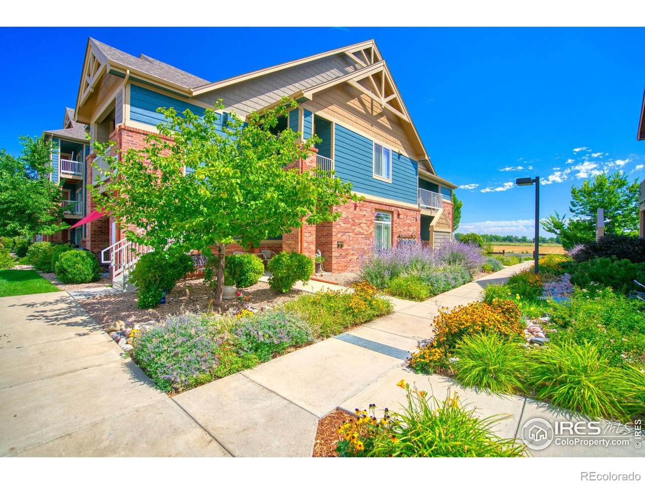 804 Summer Hawk Drive - Photo 1