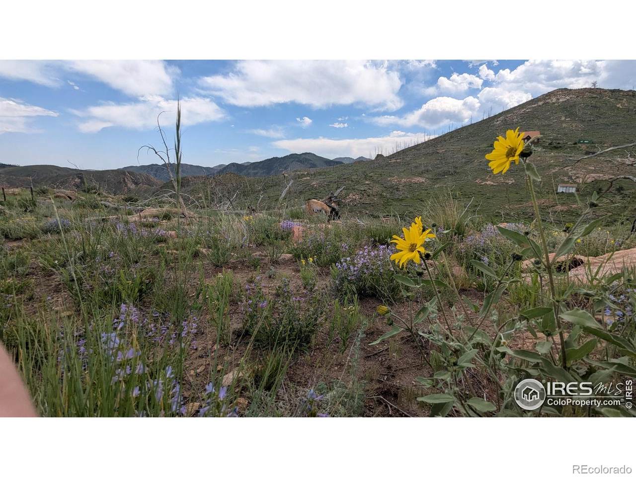 1324 Meadow Mountain Drive - Photo 1