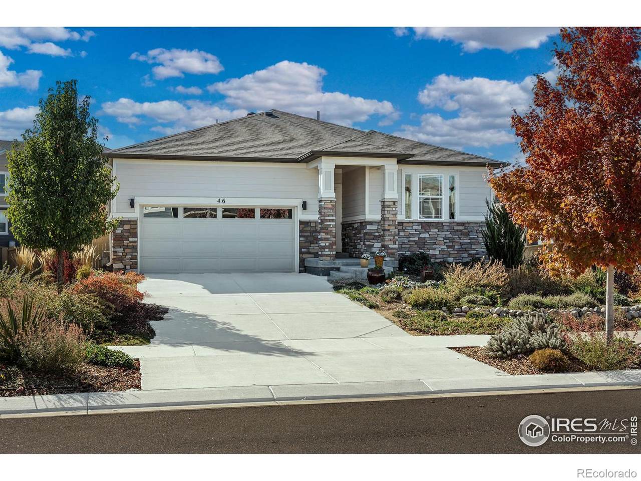 46 Sugar Beet Circle - Photo 1