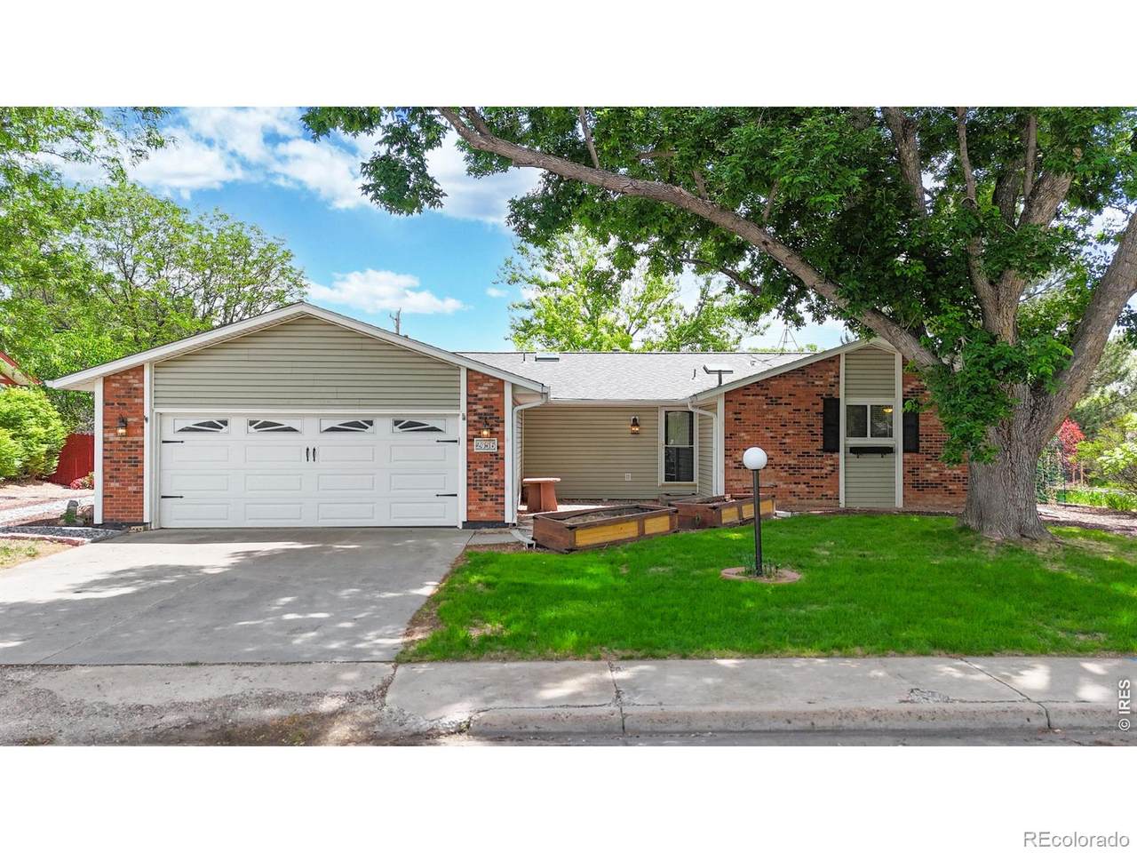 2456 Tupelo Drive - Photo 1