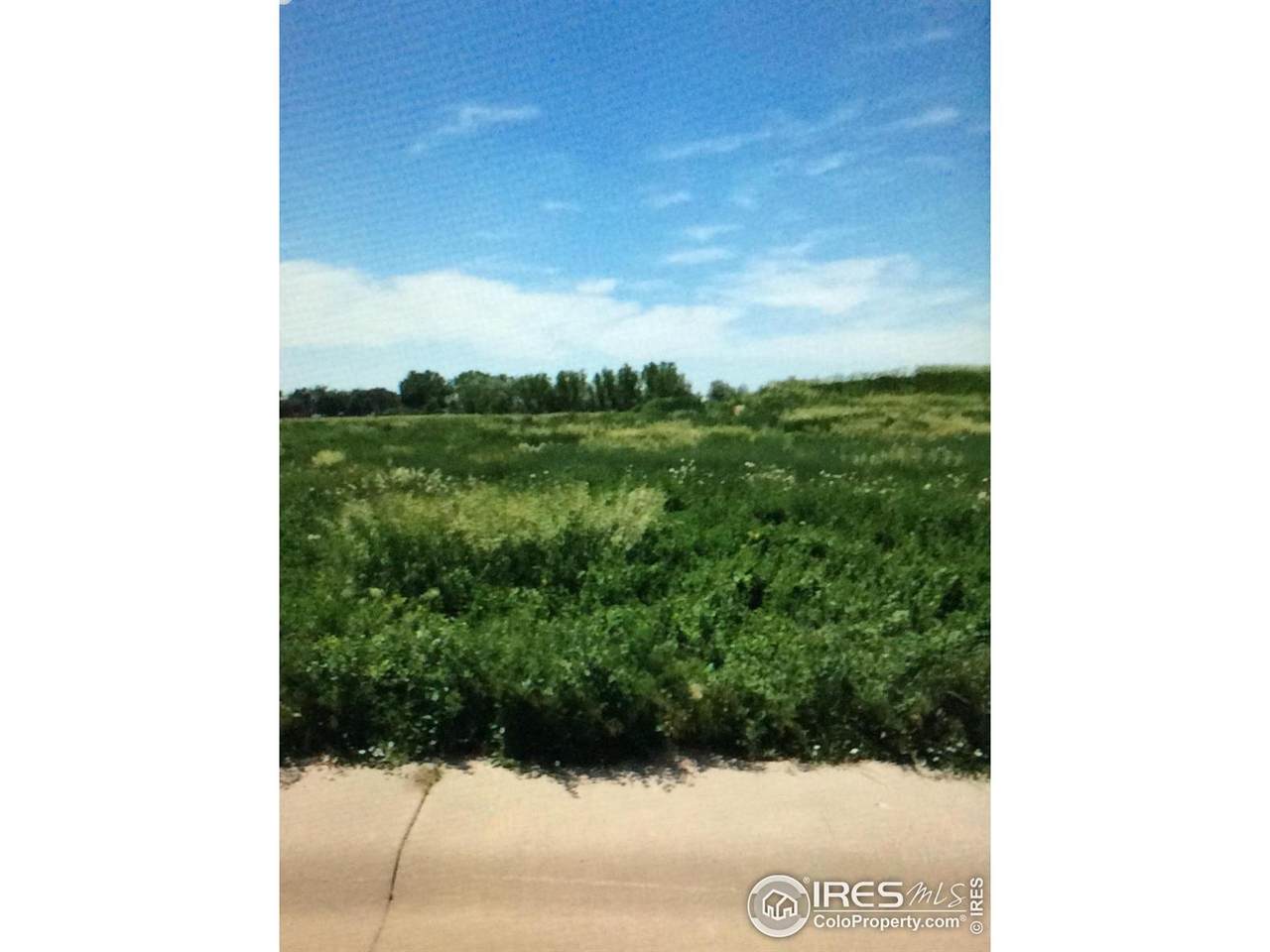 839 Nicole Road - Photo 1