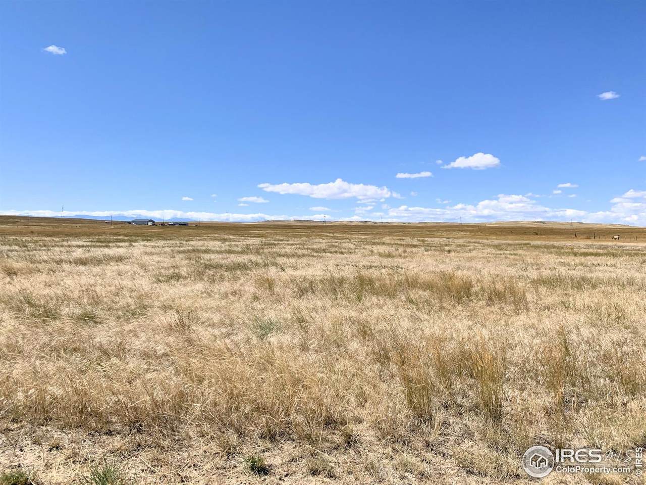 0 County Road 21 - Photo 1