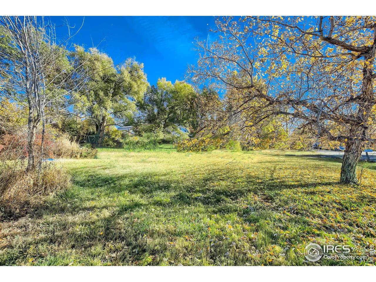 1301 Upland Avenue - Photo 1