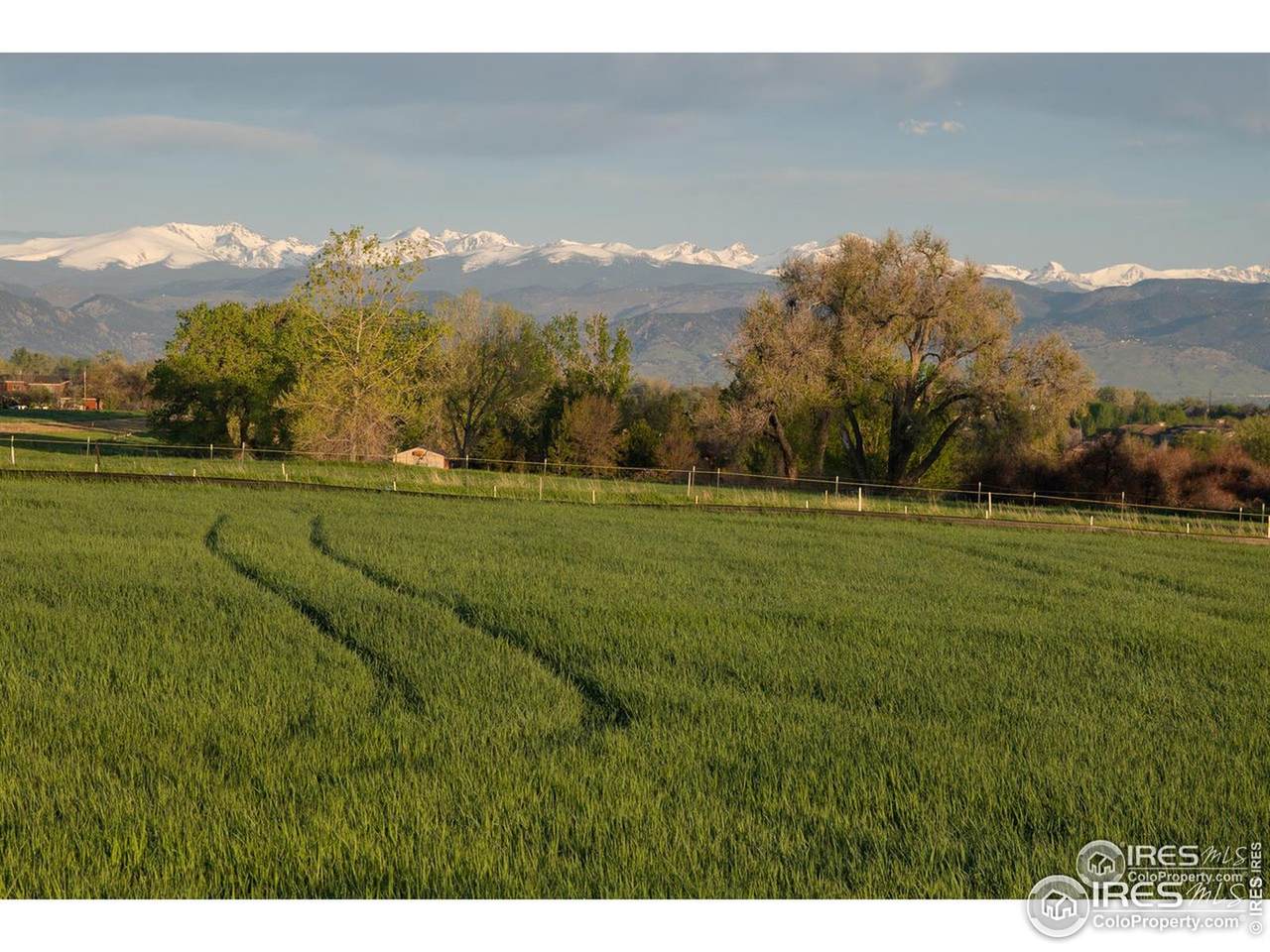 815 Latigo Loop - Photo 1