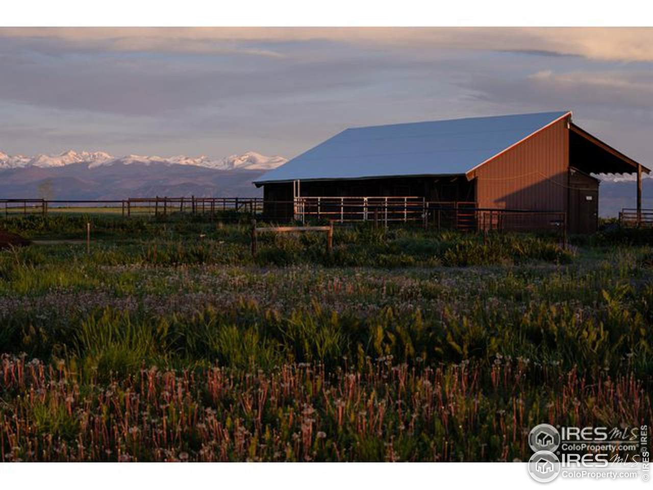 811 Latigo Loop - Photo 1