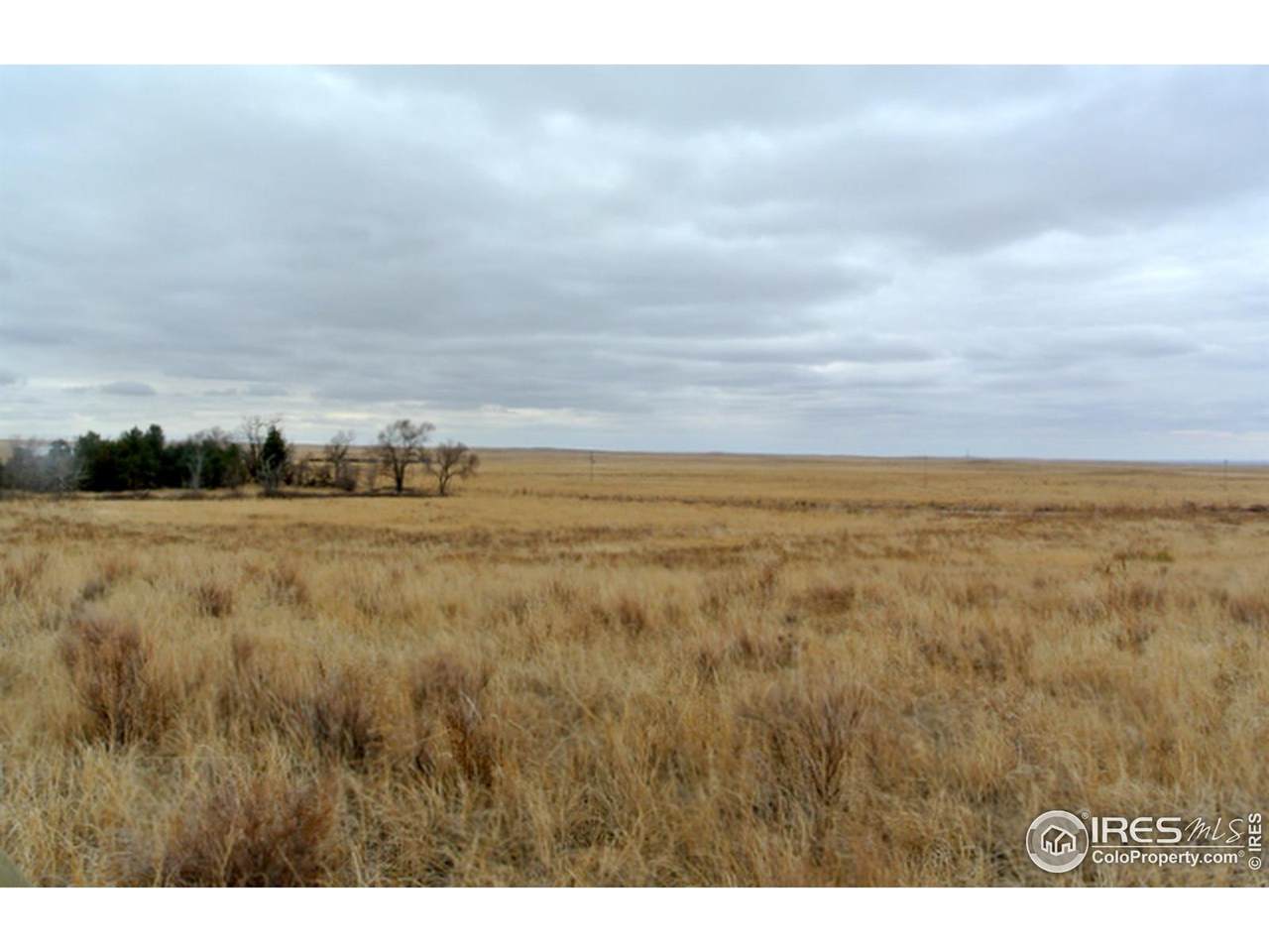 Tbd Co Rd 12 - Photo 1