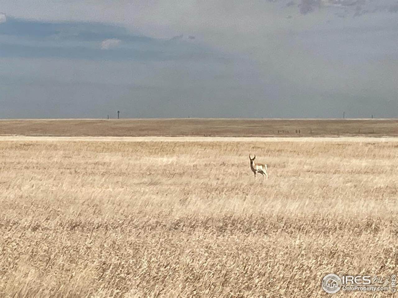 0 Cr 21 & Cr 122 (Lot A & B) - Photo 1