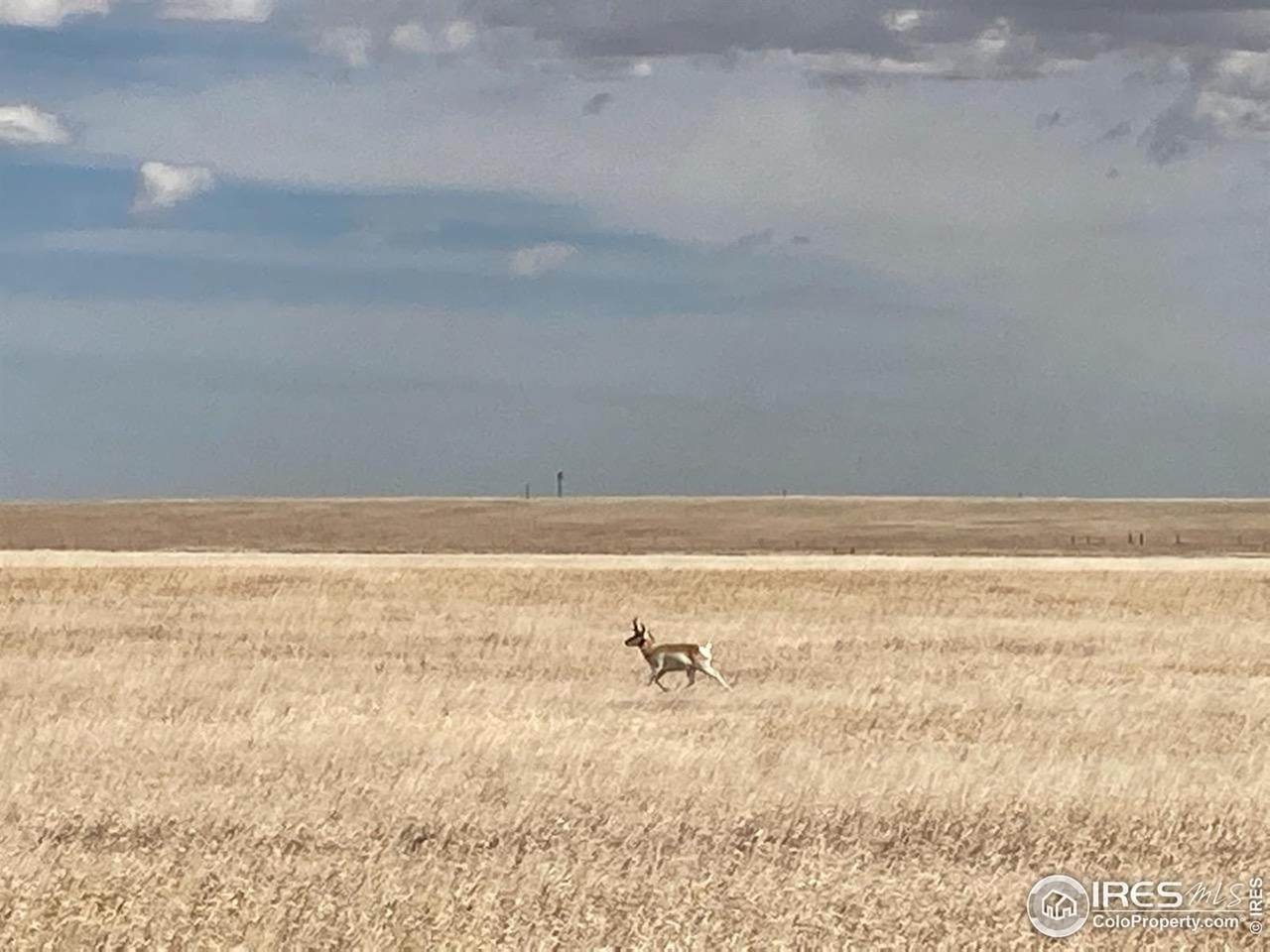 0 Cr 21 & Cr 122 (Lot A) - Photo 1