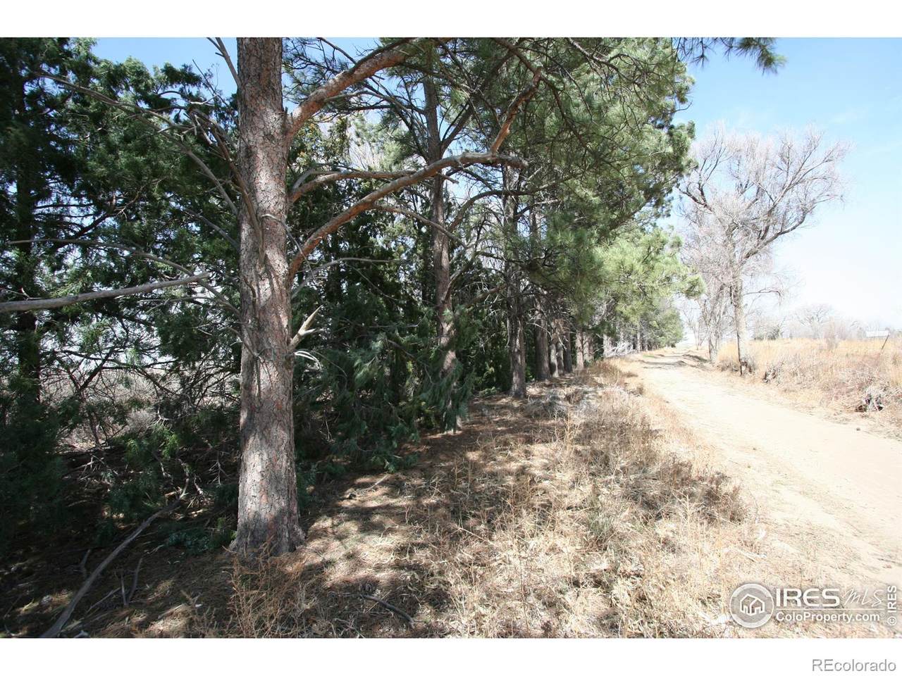 0 County Road 14 - Photo 1