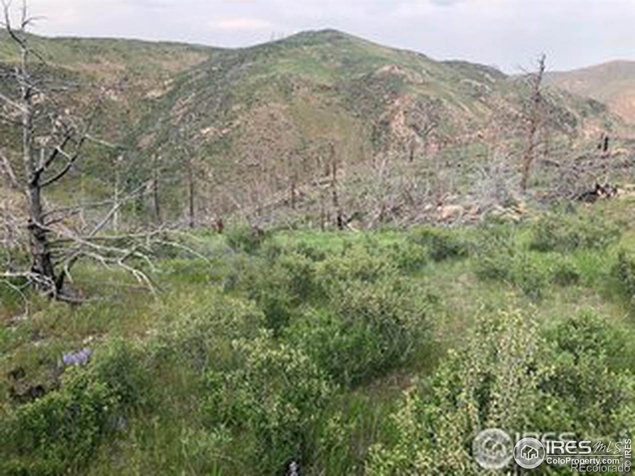 Meadow Mountain Drive - Photo 1