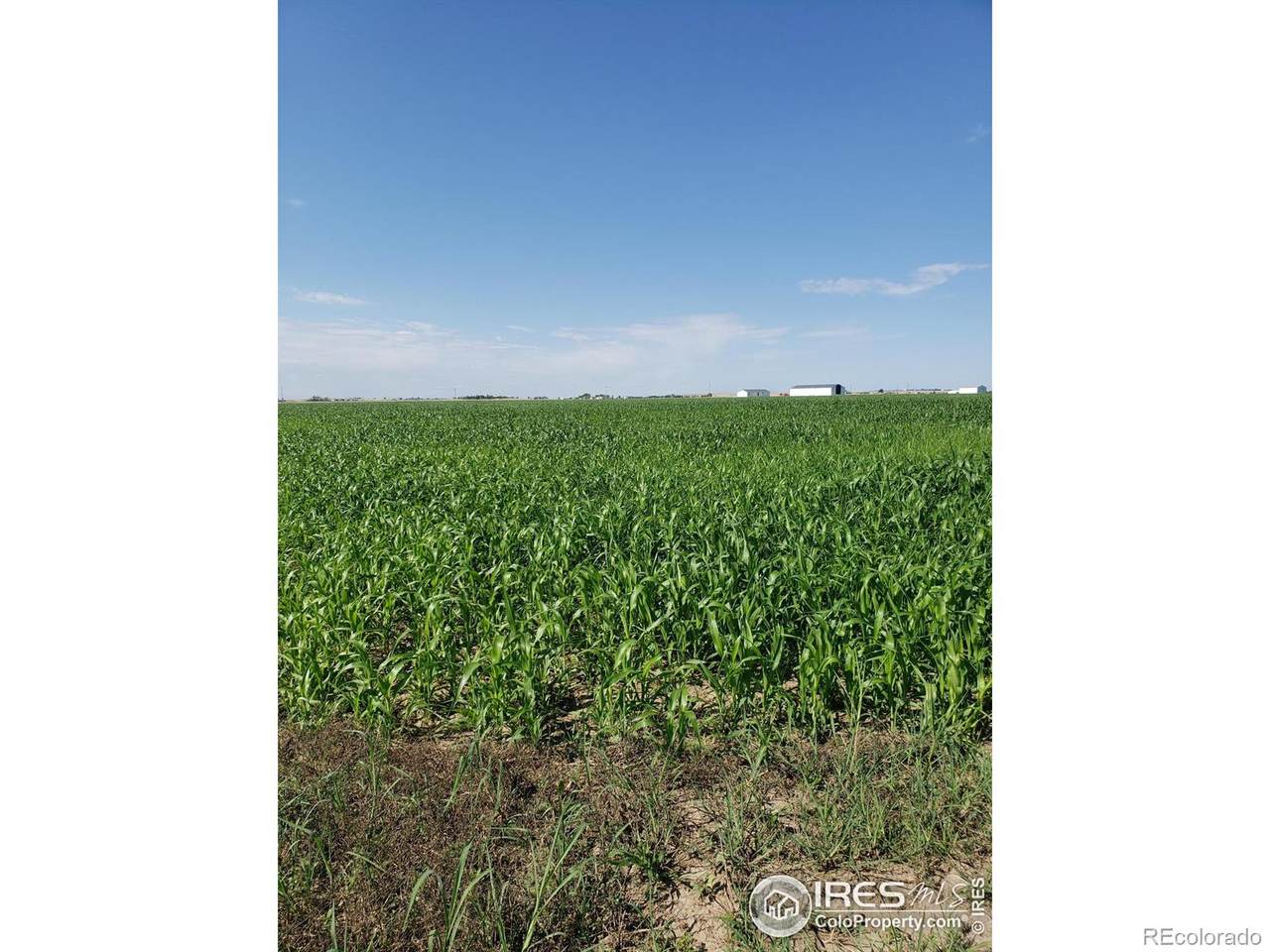 0 County Road 6 - Photo 1
