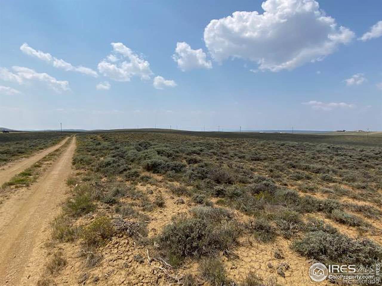 Jackson County Road 12 West - Photo 1