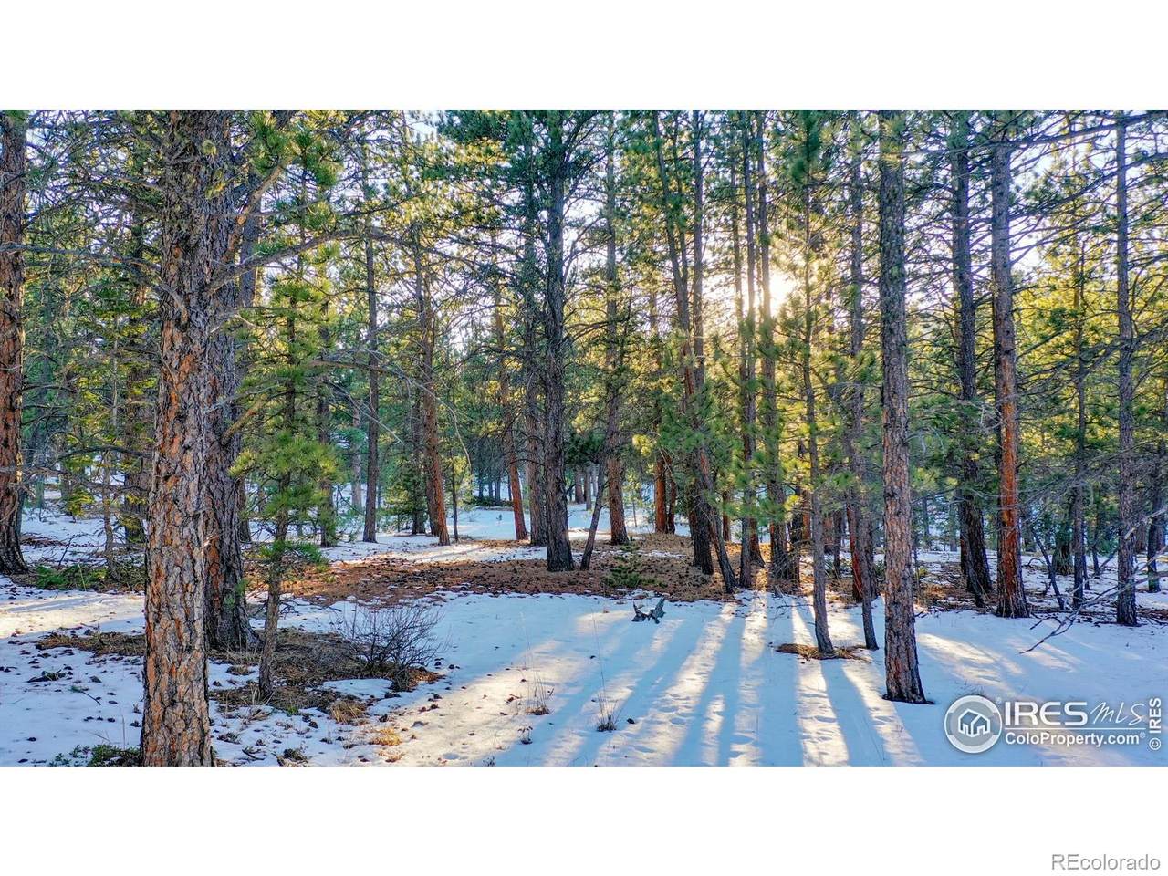 357 Big John Road - Photo 1
