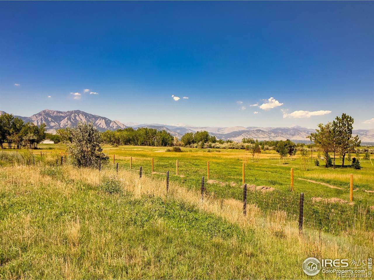 6709 Whaley Drive - Photo 1