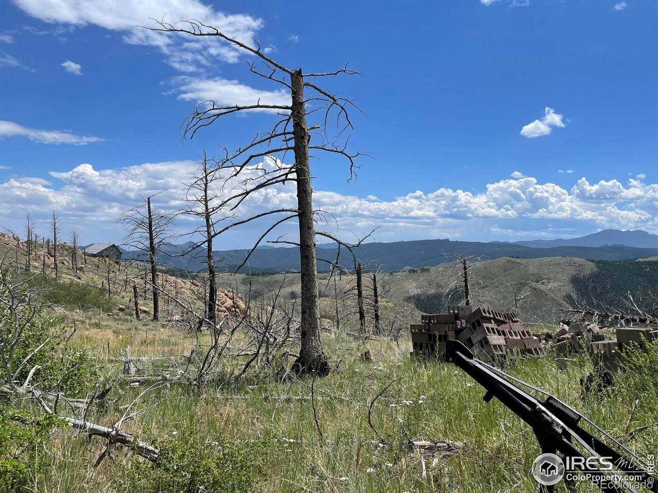 280 Rim Road - Photo 1