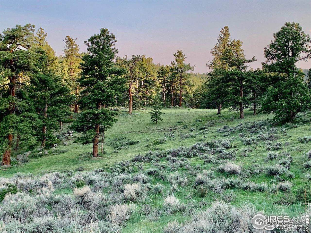 0 Beartrap Road - Photo 1