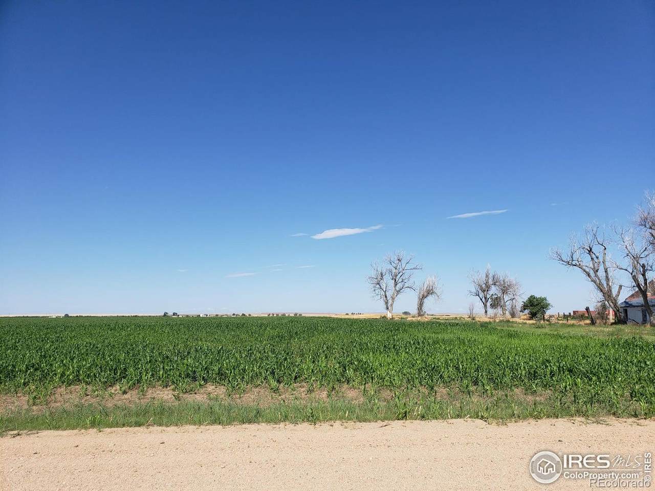 0 County Road 6 - Photo 1