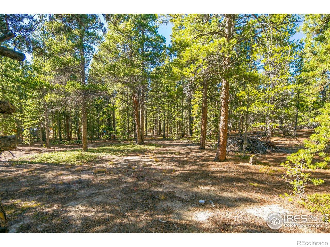 200 Severance Lodge Road - Photo 1