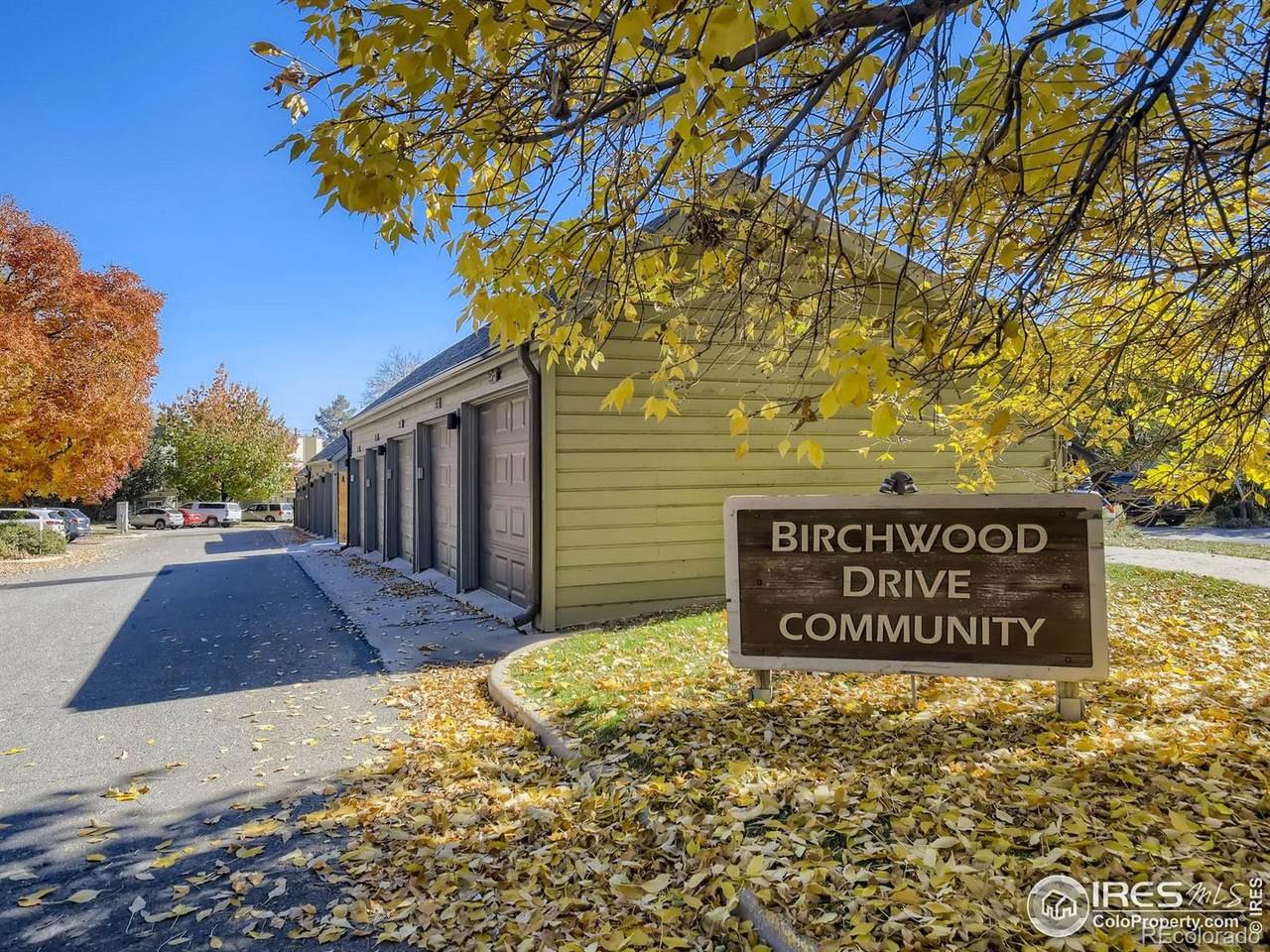 3725 Birchwood Drive - Photo 1