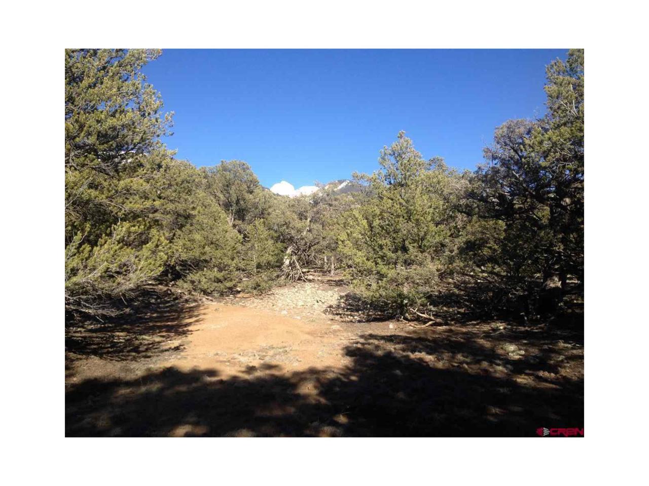 2091-2095 Lone Pine Way - Photo 1