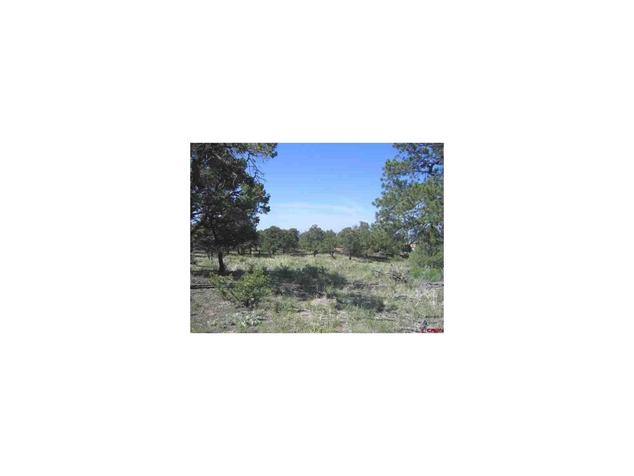 344C Palomino Way - Photo 1