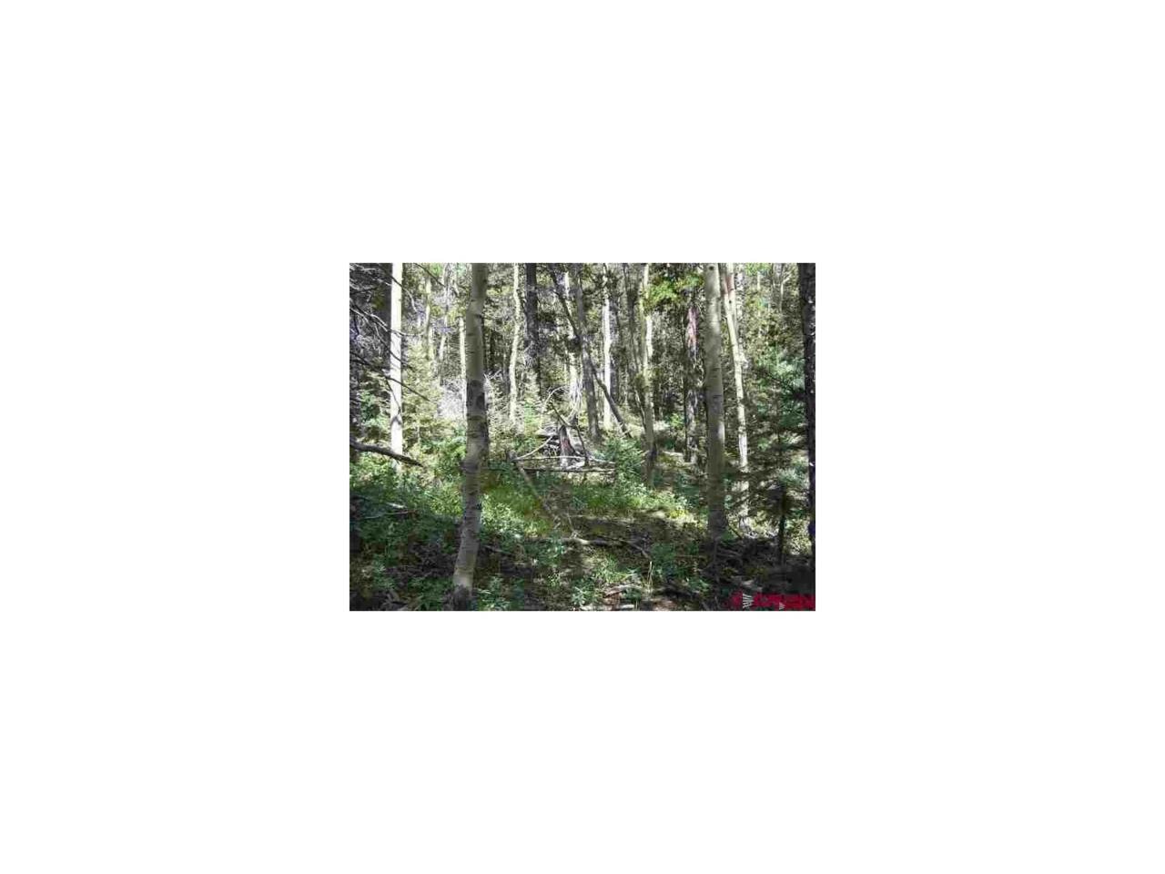 2573 Andes Loop - Photo 1