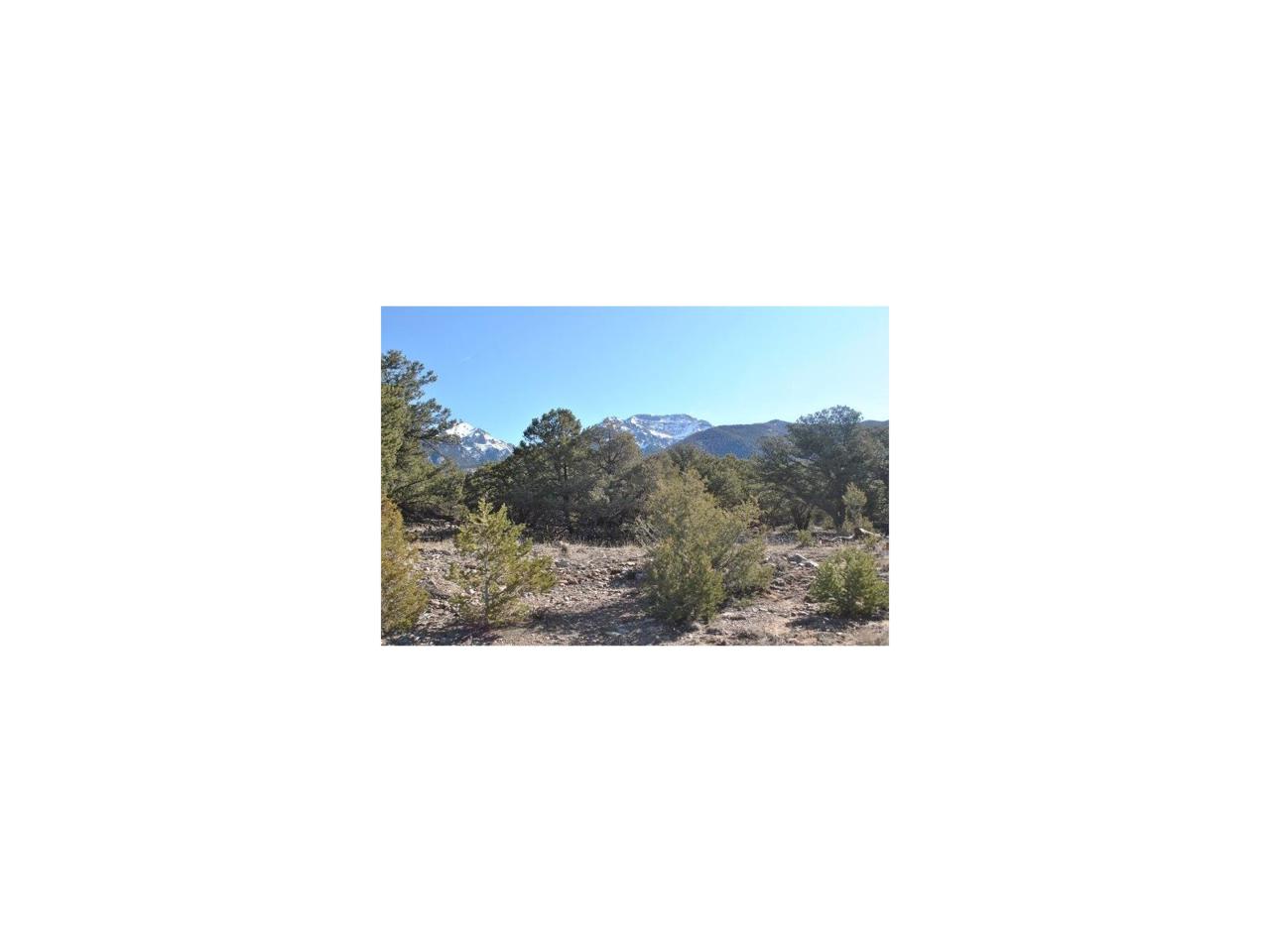 1320 & 1321 Clear Creek Overlook - Photo 1
