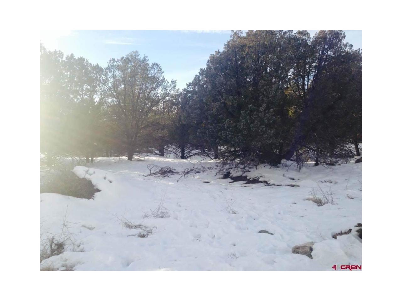 1898 Lone Pine - Photo 1