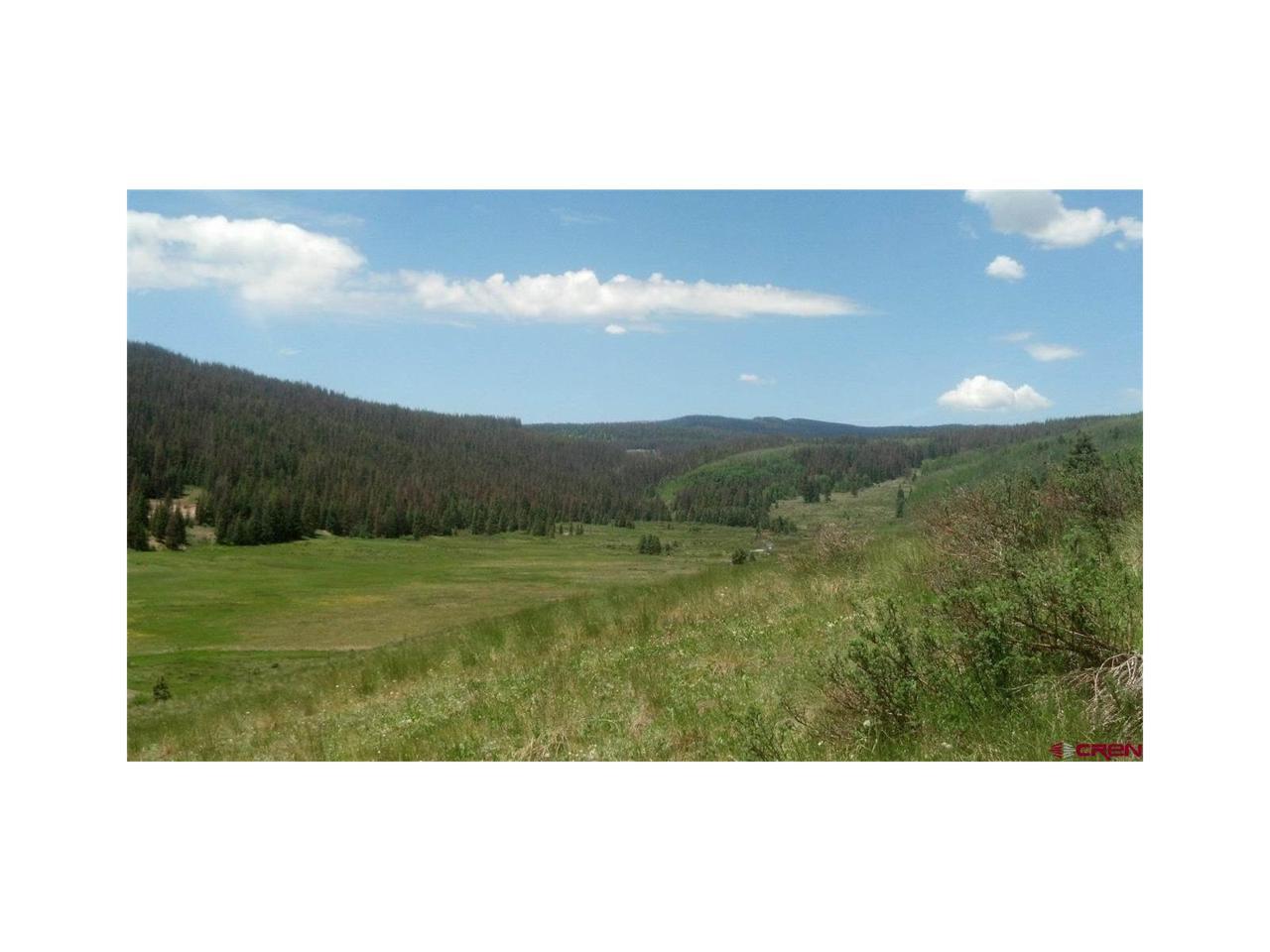 Lot 12 Hwy 17 - Photo 1
