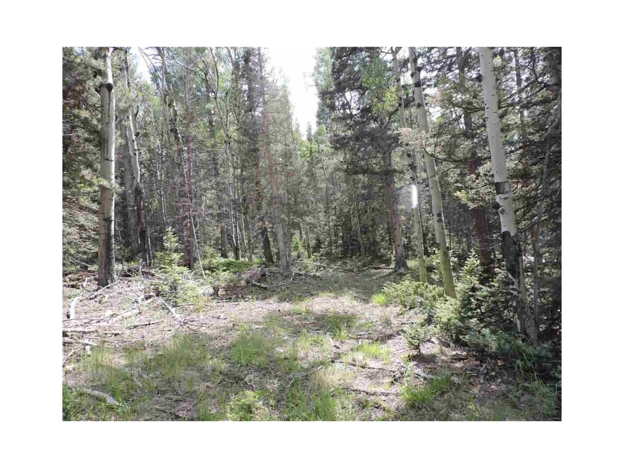 2900 Henderson Drive - Photo 1