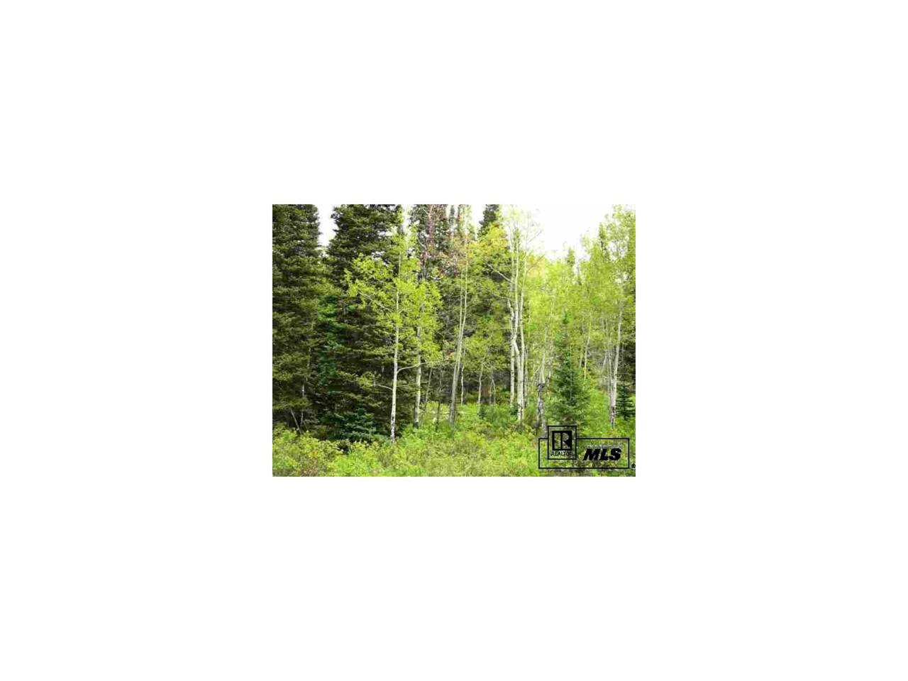 Lot 84 Rabbit Ears Village - Photo 1