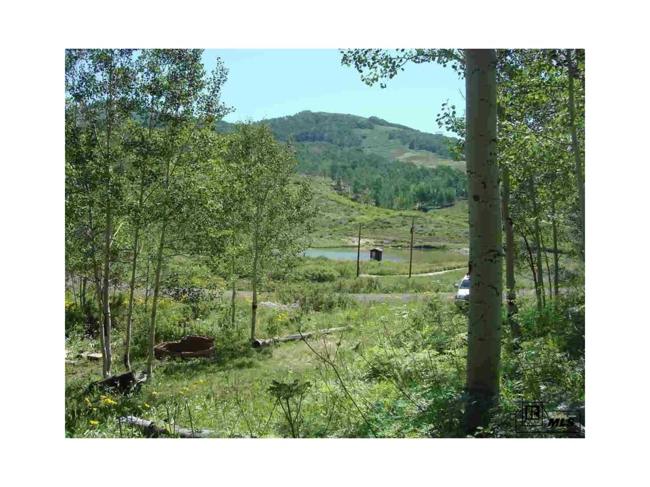 185 Cr 286/Upper Bear Mtn. - Photo 1