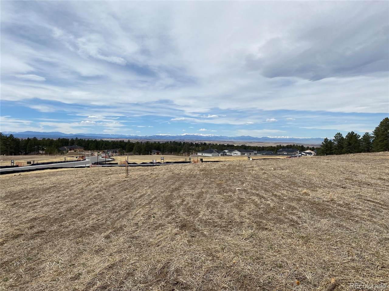 9825 Majestic Oak Drive - Photo 1