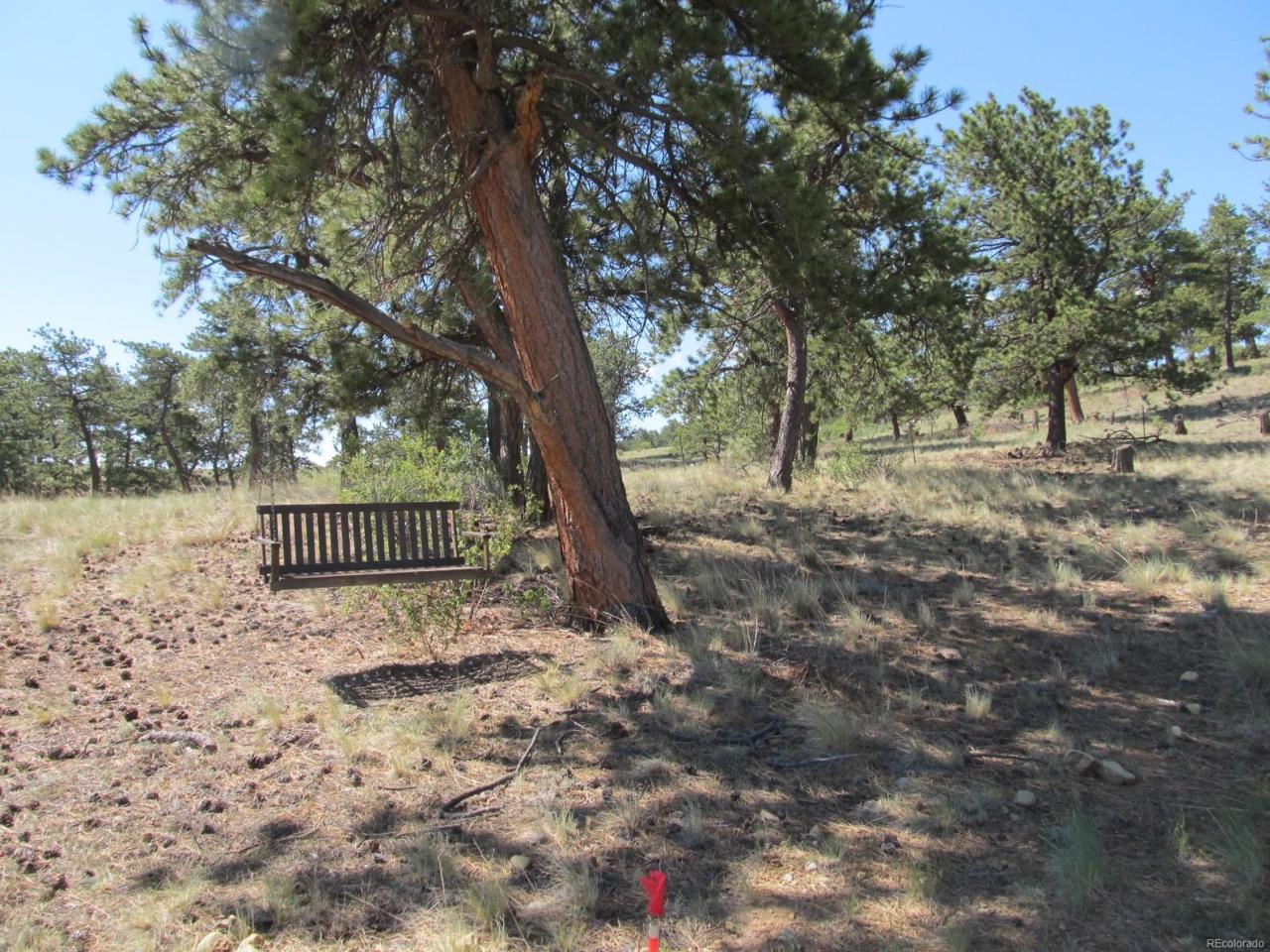 190 Crazy Horse Trail - Photo 1