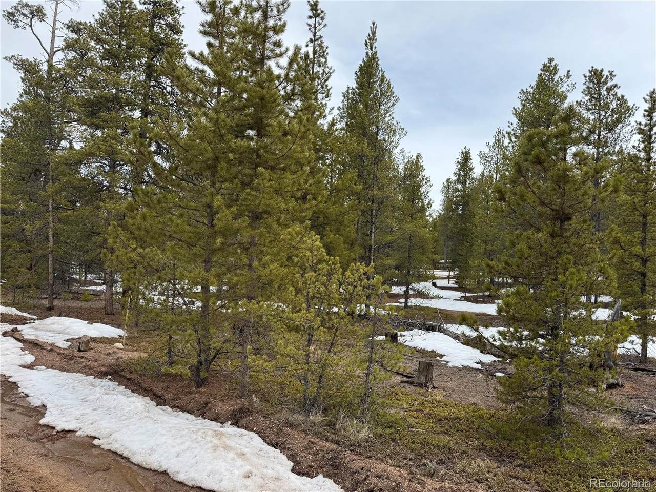 322 Fir Drive - Photo 1