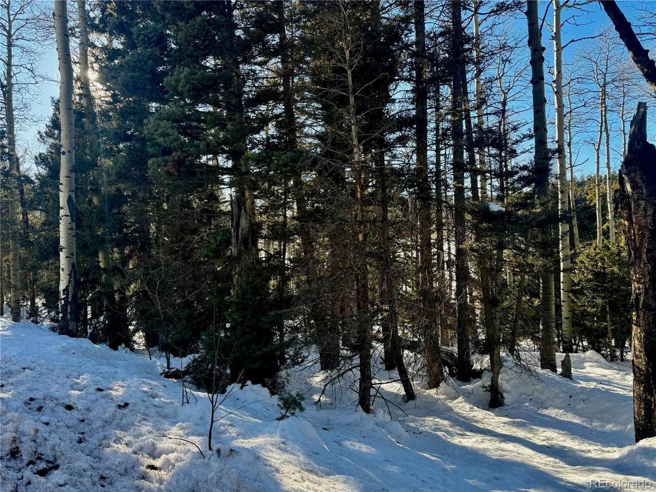 Lot 2843 Wendt Lane - Photo 1